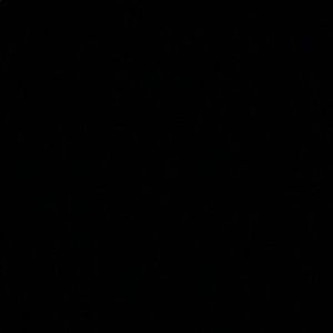 Meet your Posher, Darlene